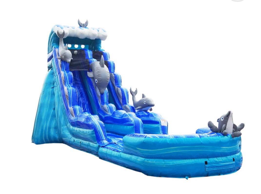 20 ft Dolphin Water Slide with Pool